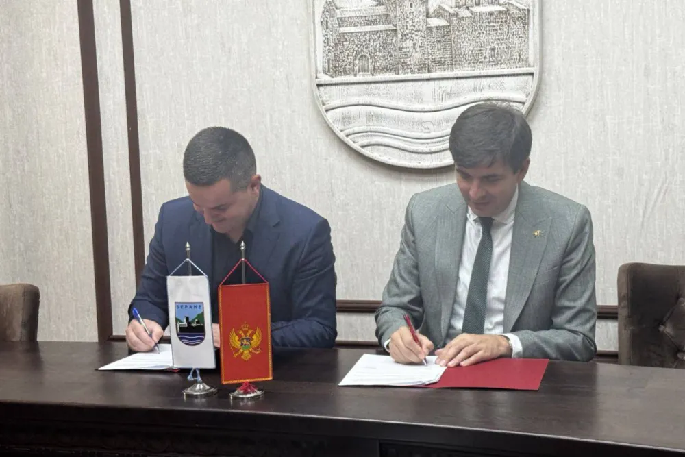 Azemović: Dani dijaspore prilika da se zahvalimo na&scaron;im ljudima u inostranstvu na podr&scaron;ci i doprinosu