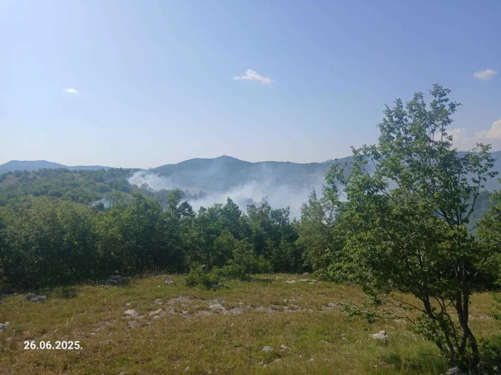 Nik&scaron;ić: &Scaron;umski požar u rejonu sela Somina