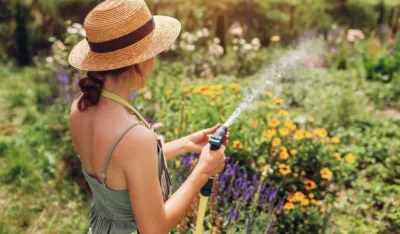 Pet načina da provjerite da li va&scaron;im biljkama treba voda