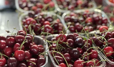 Tre&scaron;nje i mladi sir ko&scaron;taju isto