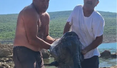 Som kapitalac ulovljen u Bilećkom jezeru