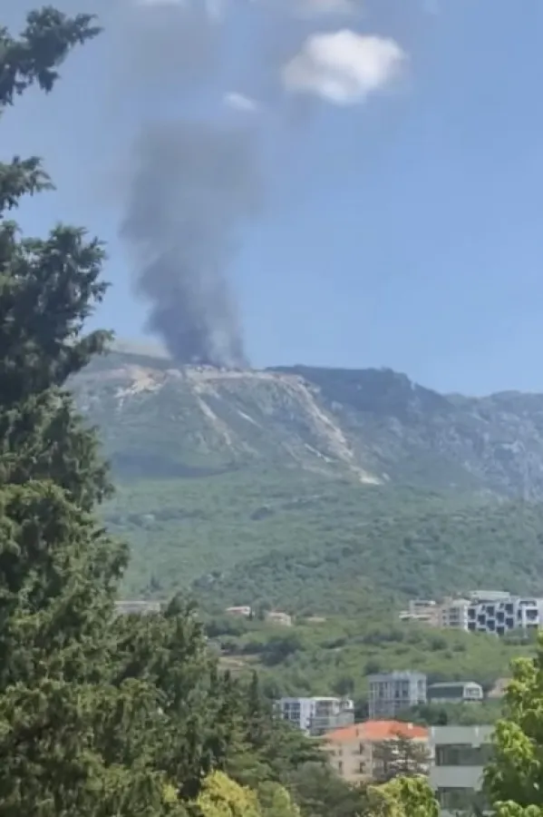 Požar na deponiji na Brajićima, vatrogasci na terenu