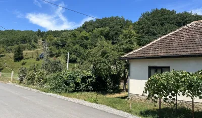 Popis pokazao: U Crnoj Gori skoro četvrtina samačkih domaćinstava