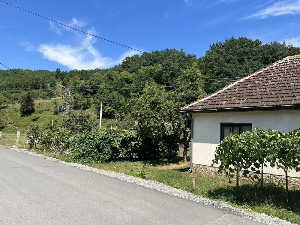 Popis pokazao: U Crnoj Gori skoro četvrtina samačkih domaćinstava