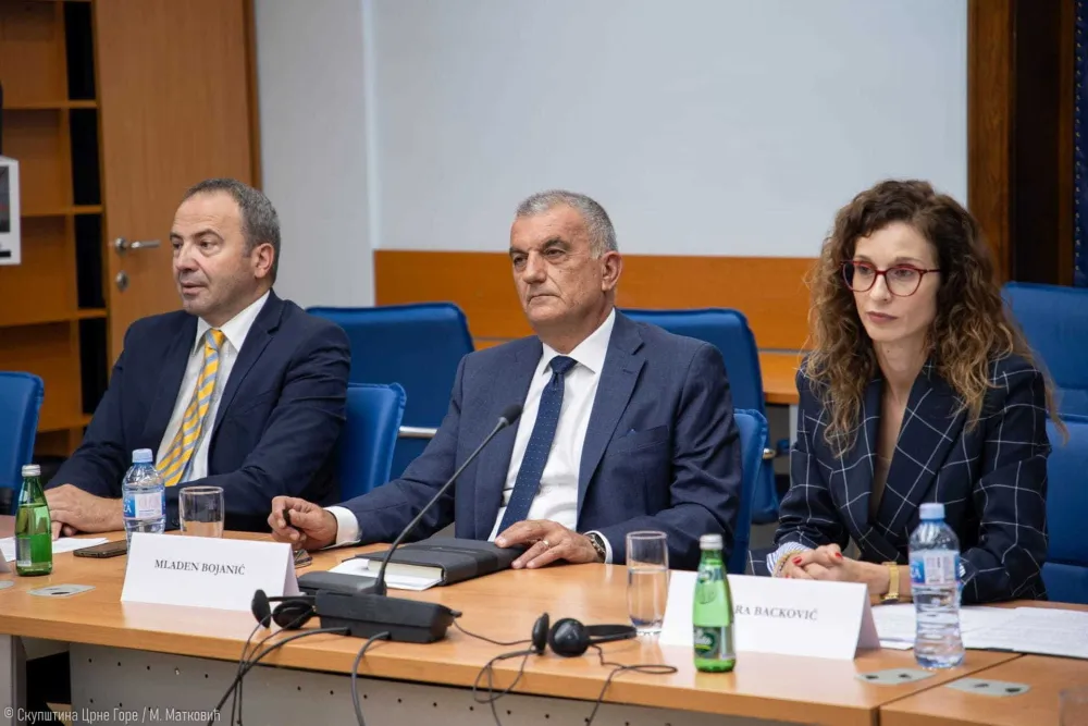 Backović, Bojanić i Pejović saslu&scaron;ani na Odboru za ekonomiju: Iznijeli svoje vizije Centralne banke