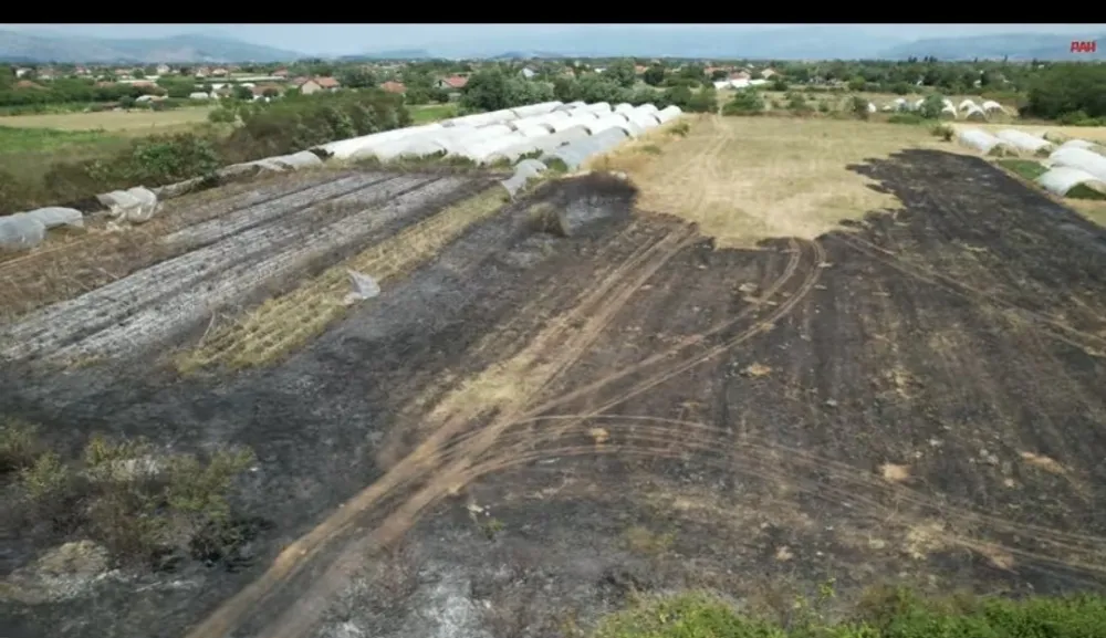 DPS Zeta: Vatrogasna vozila nisu bila prioritet, već službena