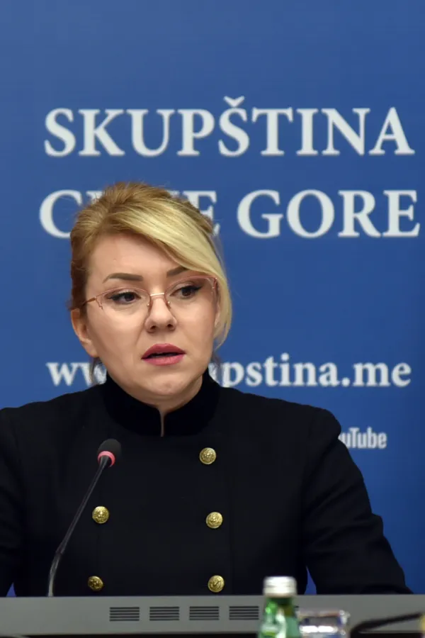 Odložena sjednica Ustavnog odbora, glasanje o imenovanju sudija US kad se steknu uslovi