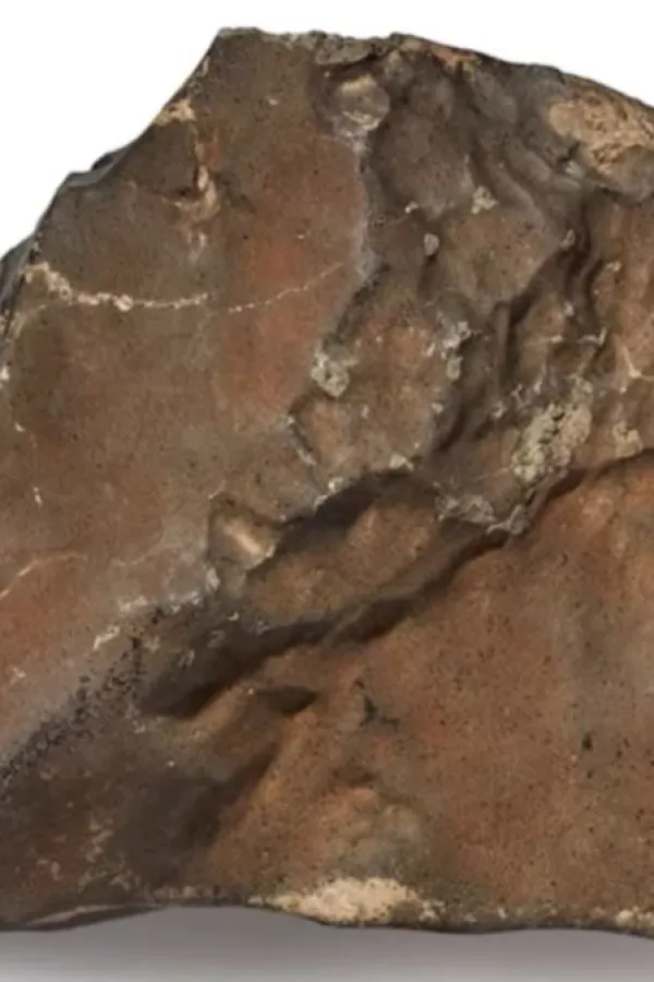 (VIDEO) Na aukciji najveći meteorit sa Marsa koji je pao na Zemlju, cijena astronomska