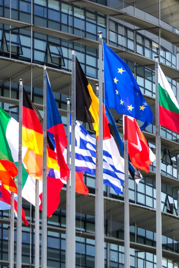 Institucije klimave, problemi vidljivi, a EU nas, ipak, želi