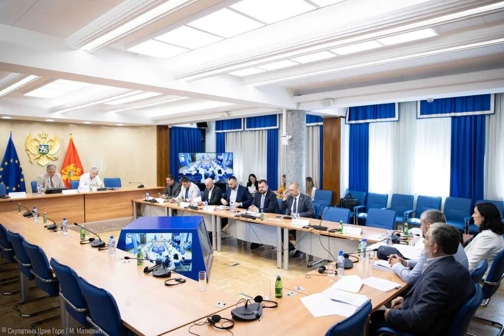 Skup&scaron;tinski odbor odložio izja&scaron;njavanje o Predlogu Zakona o javnim okupljanjima: Zabrana bunta nije rje&scaron;enje