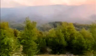 (VIDEO) Nik&scaron;ić: Veliki &scaron;umski požar zahvatio selo Gornje Crkvice