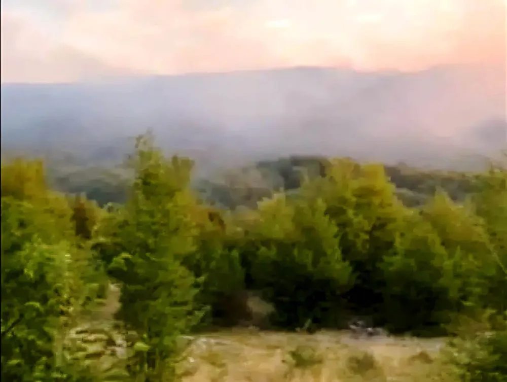 (VIDEO) Nik&scaron;ić: Veliki &scaron;umski požar zahvatio selo Gornje Crkvice