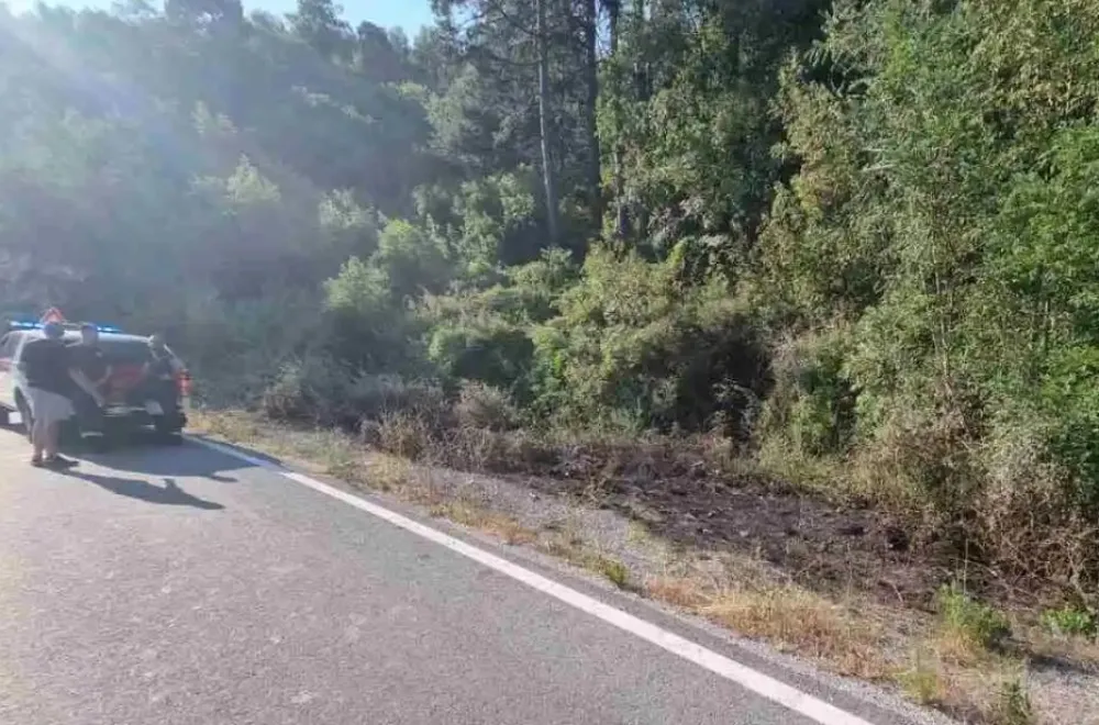 Cetinje: Vatrogascima pune ruke posla, novi požari kod tunela Mekavac i u Dobrskom Selu