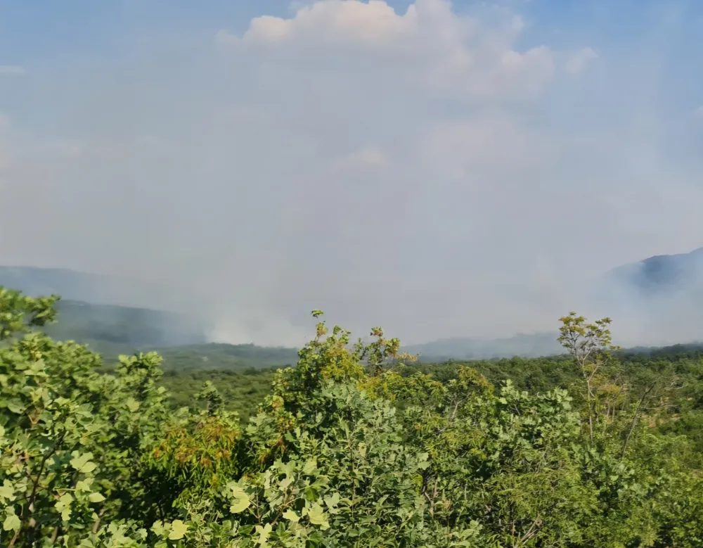 Vatrena stihija na prostoru nik&scaron;ićke op&scaron;tine: Vojska angažovala helikopter "Bell 412"