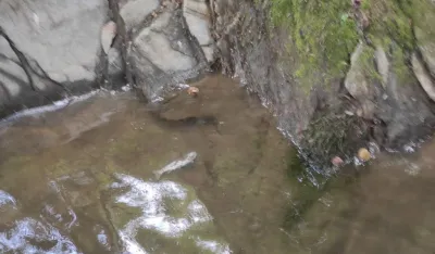 Ministarstvo: Nadležni da sankcioni&scaron;u počinioce zločina protiv životne sredine