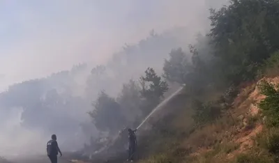 Aktivni požari u rejonu Cetinja: Ćećanović pozvao mje&scaron;tane da pomognu u za&scaron;titi imanja