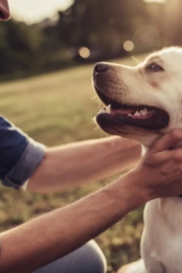 Posjedovanje kućnih ljubimaca pomaže u očuvanju pamćenja u starosti