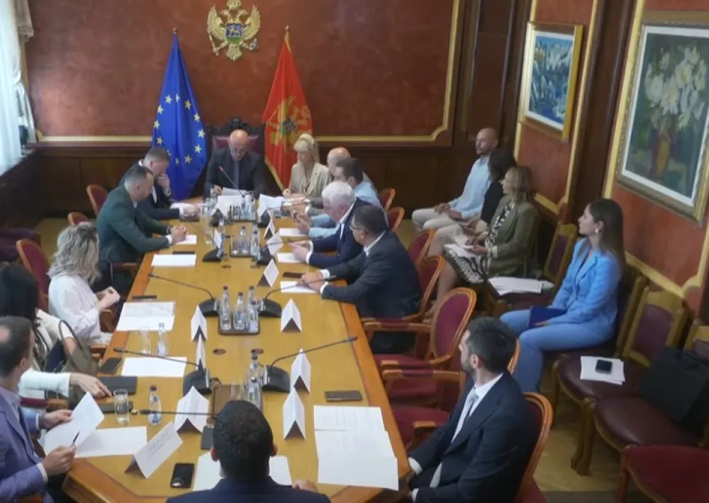 (VIDEO) Slučaj Danila Mandića pred Odborom za bezbjednost i odbranu; Usvojen zahtjev opozicije za saslu&scaron;anje &Scaron;ćepanovića i Markovića