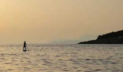 Hrvatski institut okeanografije: Jadranom se &scaron;iri invazivna vrsta alge