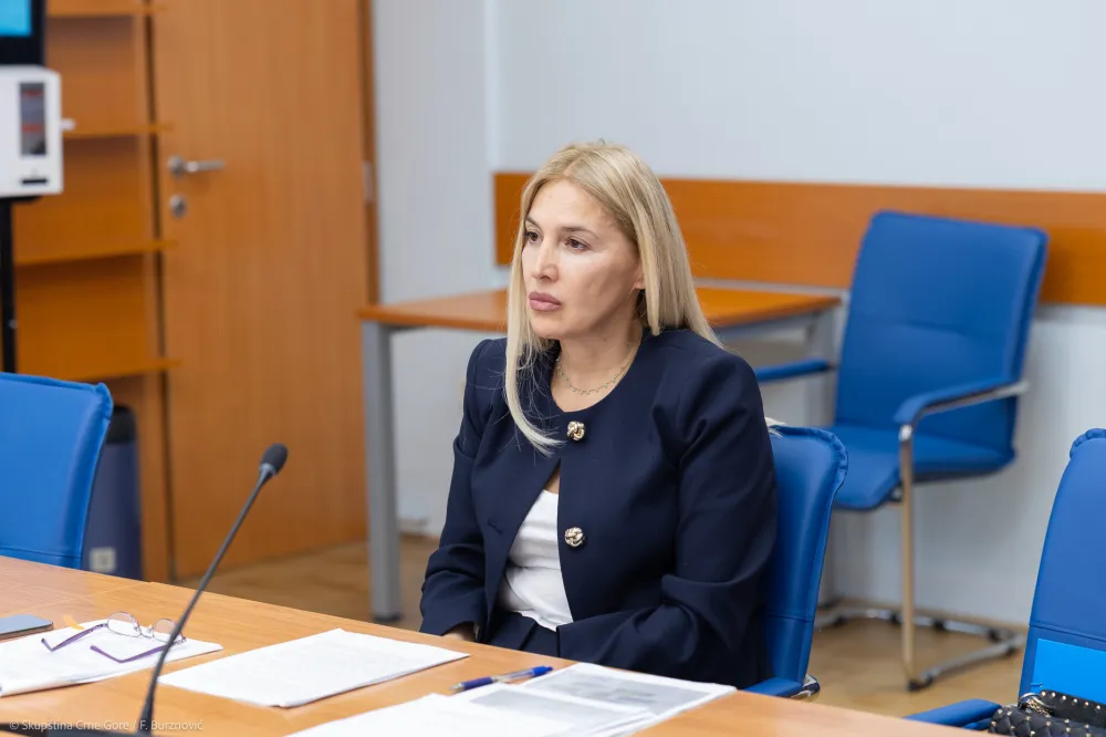 Fiskalni savjet biraju do kraja jula