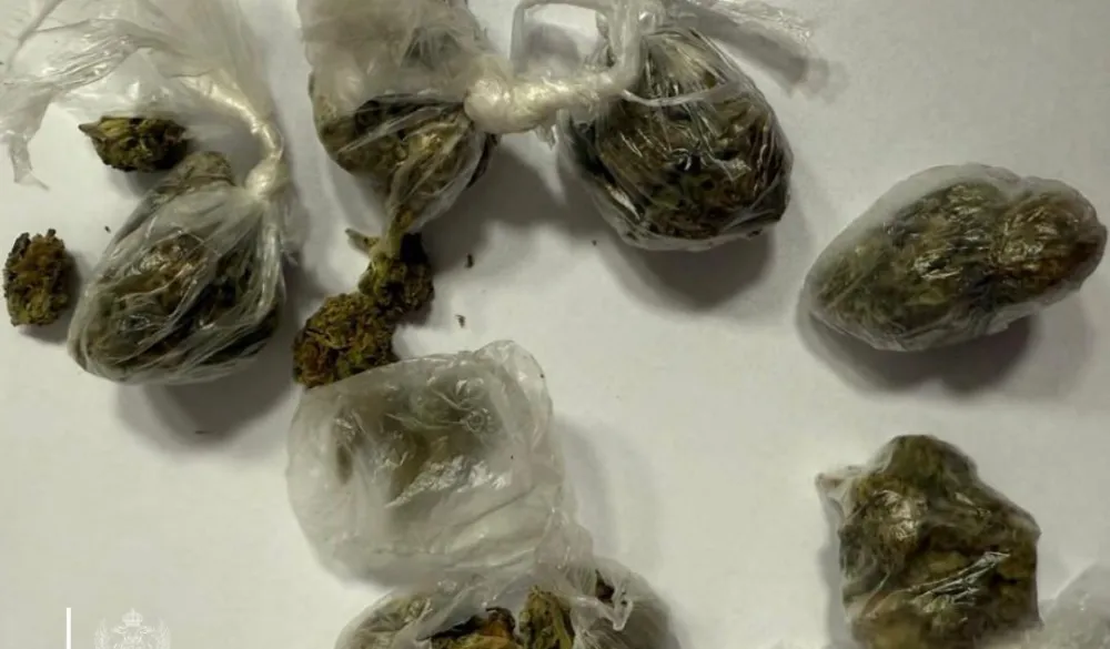 Tivat: Na žurci kod devetnaestogodi&scaron;njeg Podgoričanina pronađena marihuana namijenjena prodaji