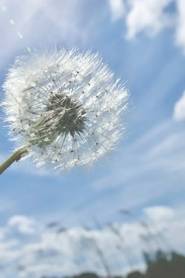 (VIDEO) Sunčano uz slab lokalni razvoj oblačnosti