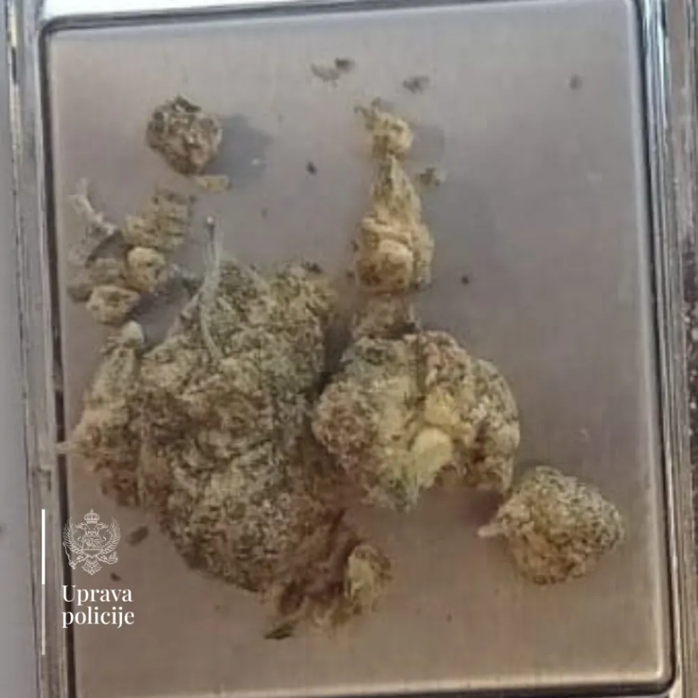 UP: Na Sukobinu oduzeta marihuana, uhap&scaron;en njemački državljanin