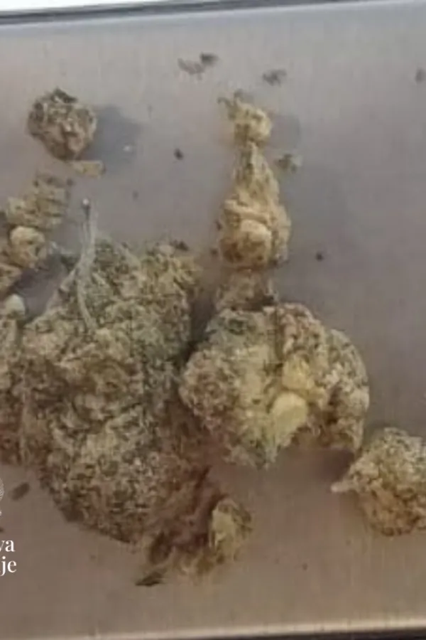 UP: Na Sukobinu oduzeta marihuana, uhap&scaron;en njemački državljanin