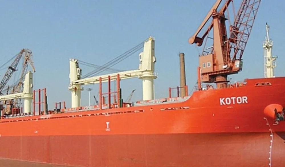 Dokić kritikuje odluku Vlade: Prodaja brodova značiće ga&scaron;enje Crne Gore kao pomorske države