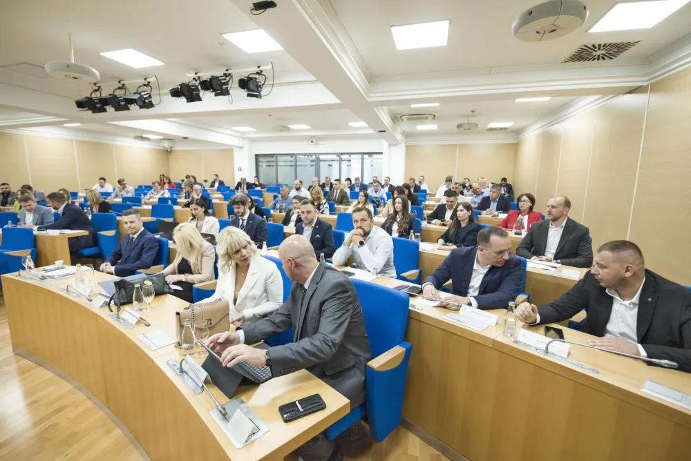 sjednica skupstine glavnog grada