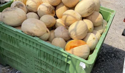 Propale tone lubenice i pipuna zbog neradnih dana