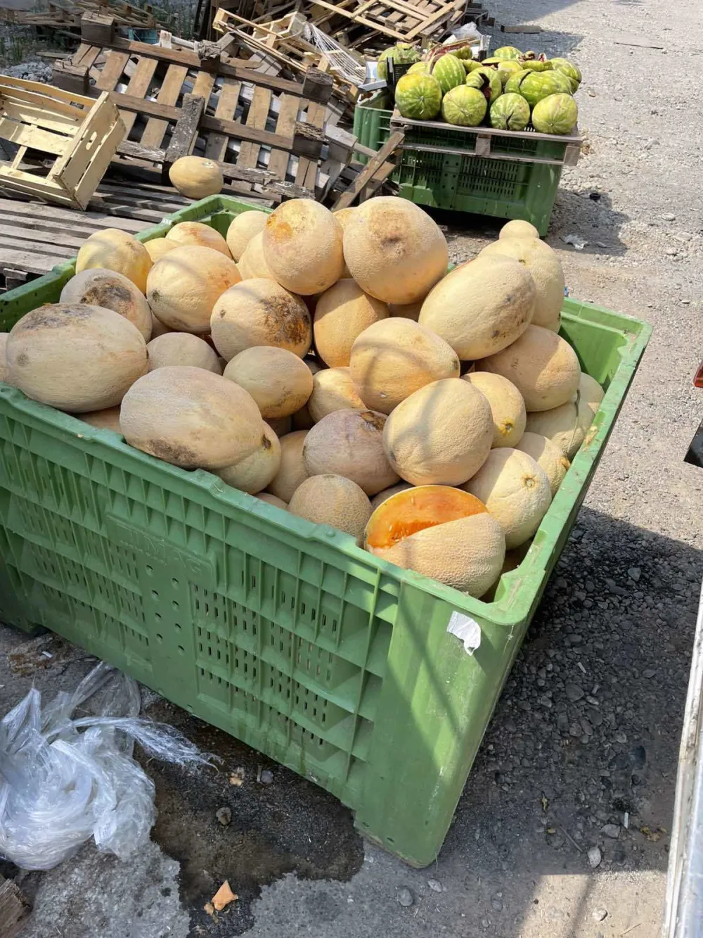 Propale tone lubenice i pipuna zbog neradnih dana