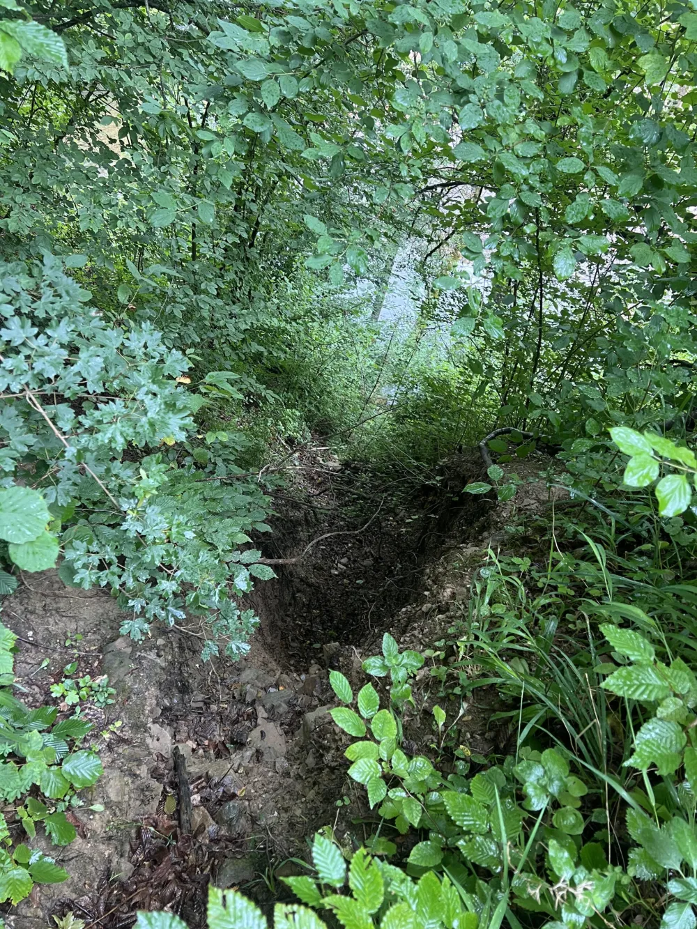 Mje&scaron;tani traže da se sanira put prekinut klizi&scaron;tima i zarastao u &scaron;iblje