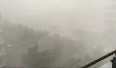 screenshot mreža X Climate Review