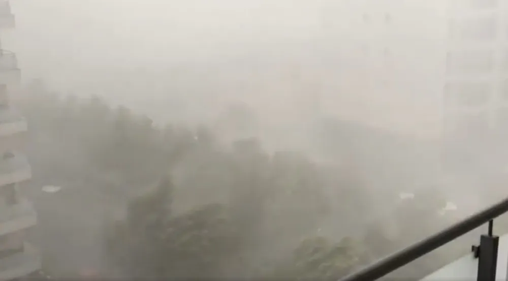 screenshot mreža X Climate Review