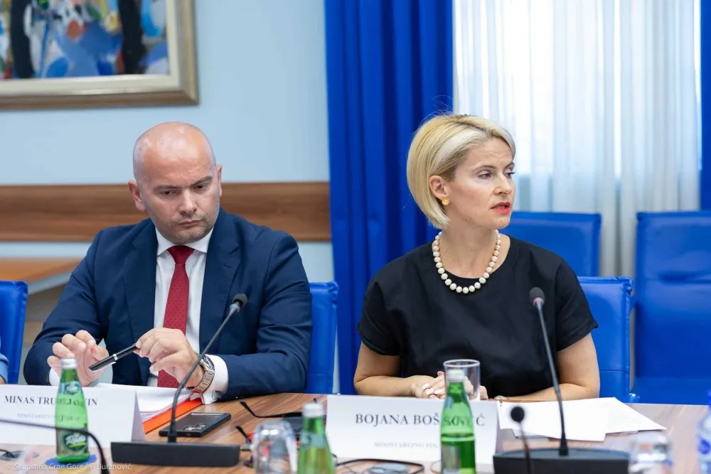 Odbor za ekonomiju podržao predlog zakona o računovodstvu:&nbsp;Svako dru&scaron;tvo mora da ima jednog profesionalca