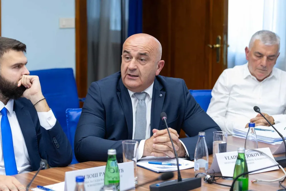 Joković: &Scaron;tetu trpe vlasnici privatnih &scaron;uma