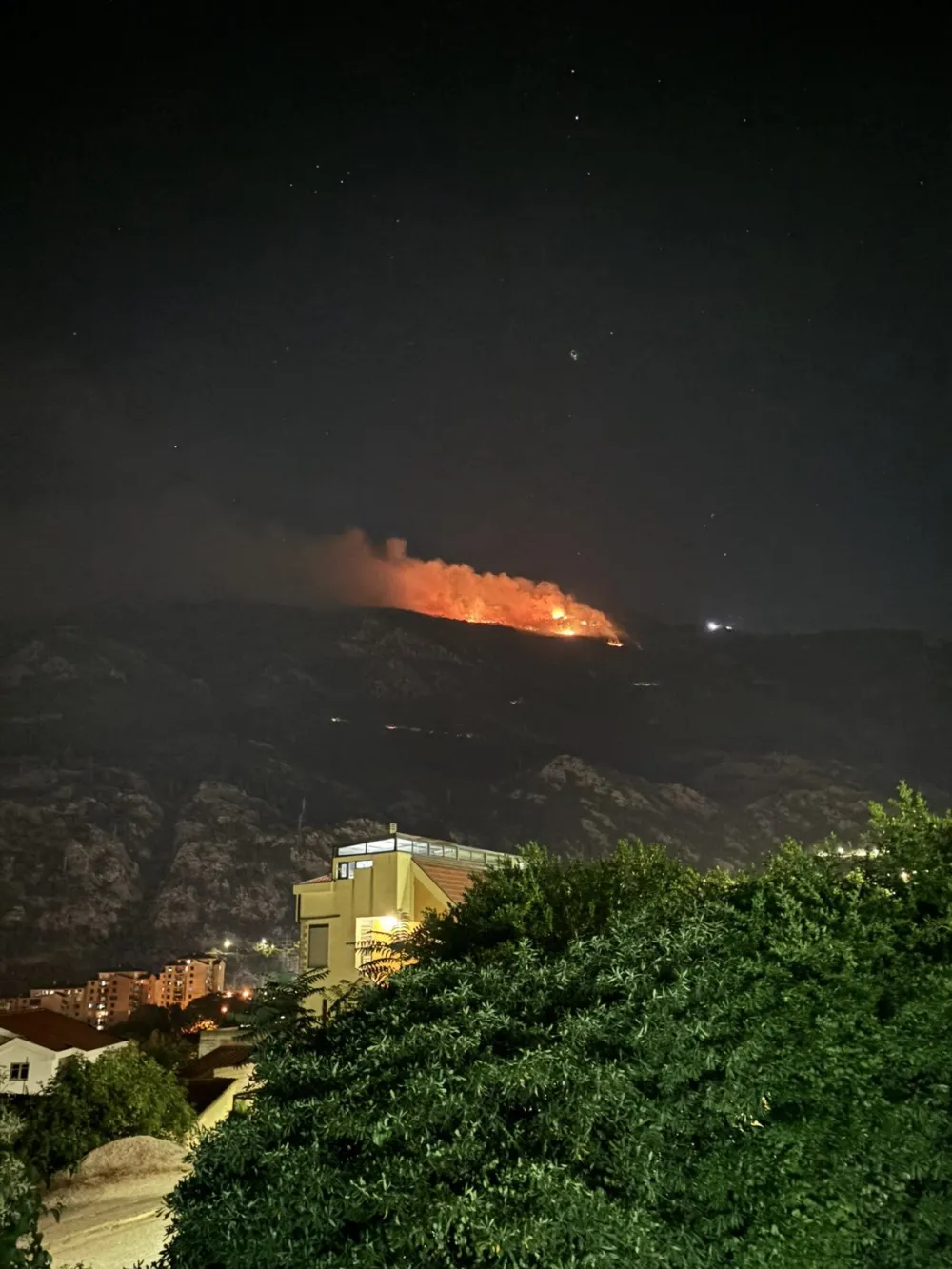 (FOTO) Požar na području serpentina ka Njegu&scaron;ima