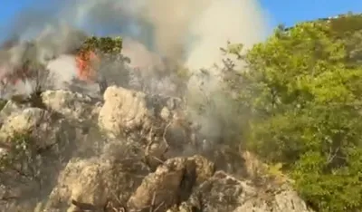 Požar na Lovćenu pod kontrolom, vatrogasci cijelu noć bili na terenu