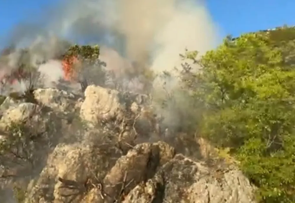 Požar na Lovćenu pod kontrolom, vatrogasci cijelu noć bili na terenu