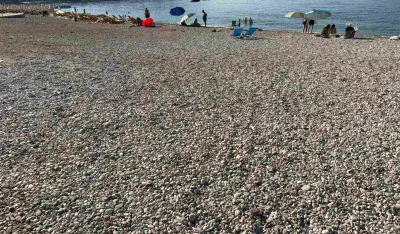 Pilot projekat Morskog dobra: Tim zaposlenih svakodnevno obilazi i čisti javna kupali&scaron;ta u Budvi