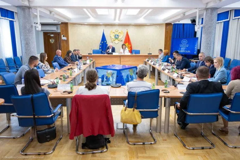 (VIDEO) Odbor za ljudska prava i slobode o razvoju sistema socijalne i dječje za&scaron;tite i prevenciji i za&scaron;titi od nasilja