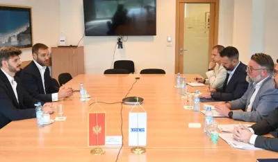 &Scaron;ef Misije OEBS-a sa kopredsjedavajućima skup&scaron;tinskog Odbora za sveobuhvatnu izbornu reformu