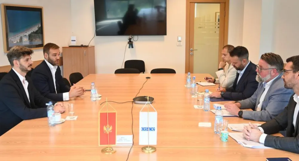 &Scaron;ef Misije OEBS-a sa kopredsjedavajućima skup&scaron;tinskog Odbora za sveobuhvatnu izbornu reformu