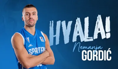 Nemanja Gordić