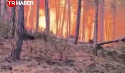 (VIDEO) Najmanje 10 vatrogasaca i spasilaca poginulo&nbsp;u požaru u Turskoj