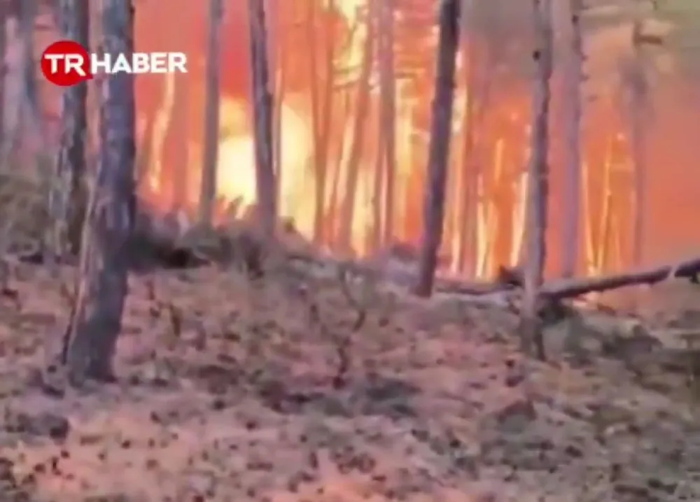 (VIDEO) Najmanje 10 vatrogasaca i spasilaca poginulo&nbsp;u požaru u Turskoj