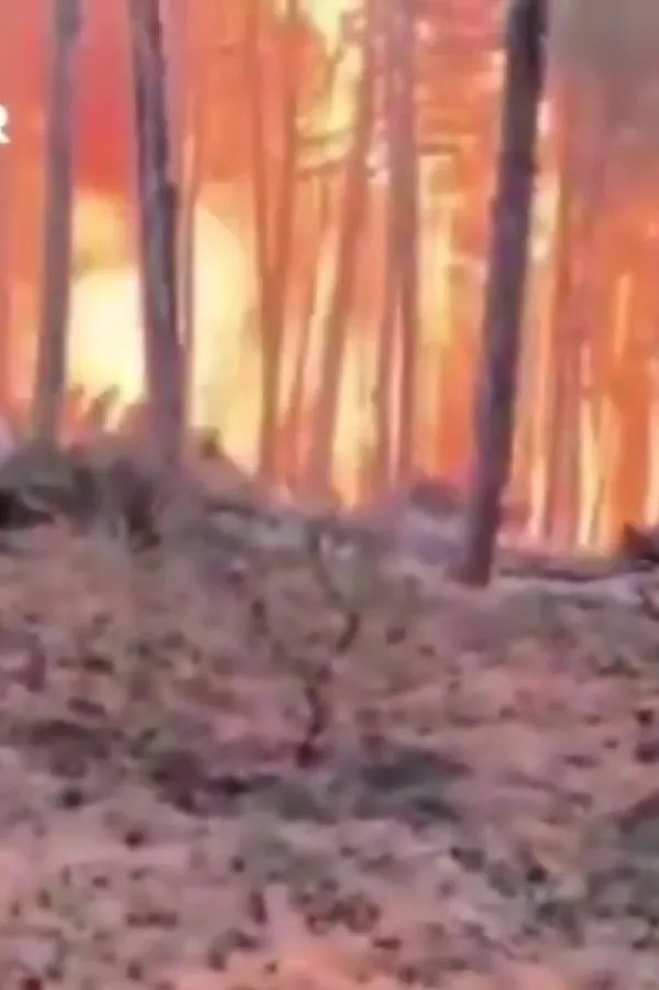 (VIDEO) Najmanje 10 vatrogasaca i spasilaca poginulo&nbsp;u požaru u Turskoj