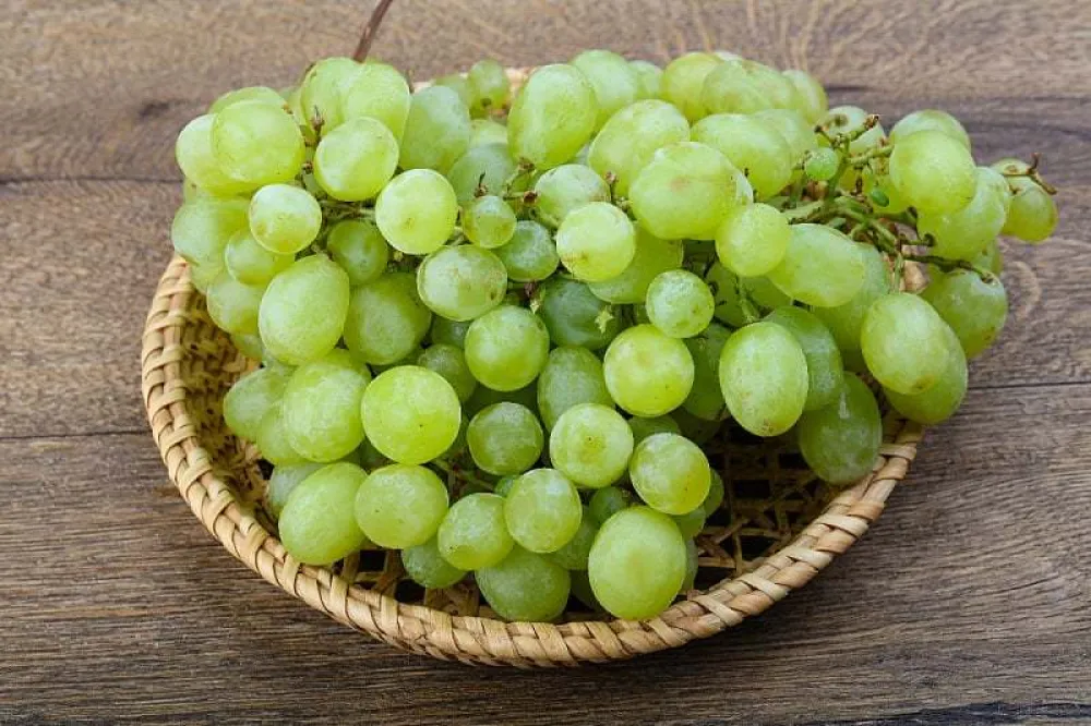 Unos ovih namirnica može vam pomoći u očuvanju zdravlja kostiju