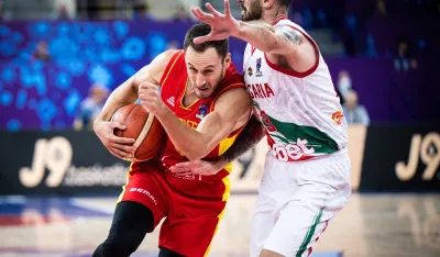 Vladimir Mihailović